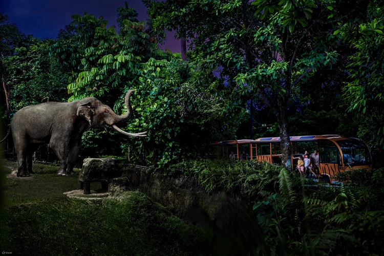 「ナイトサファリ」徹底ガイド 【旅の大事典】